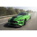 Cervinis Capot Stalker 2018-2022 Mustang GT/EcoBoost a peinturé